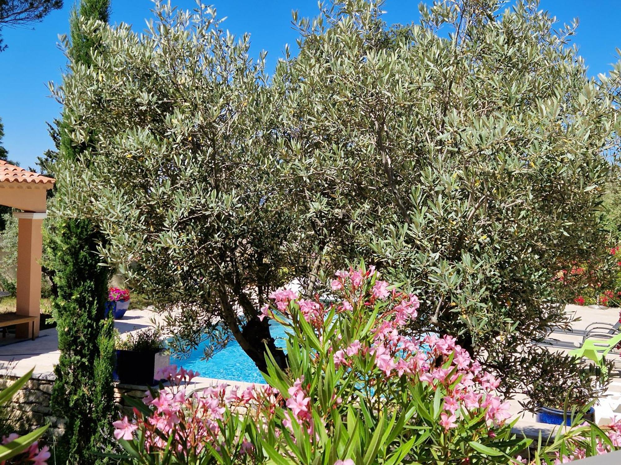 Villa La Cigaliere à LʼIsle-sur-la-Sorgue Extérieur photo